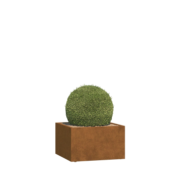 Mantua Medium Planter with Casters