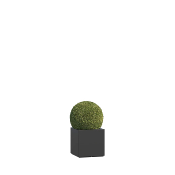 Alife Nano Planter in Anthracite