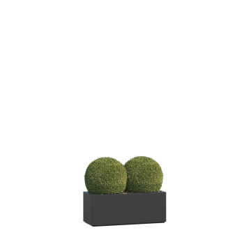 Pizzoli Planter in Anthracite