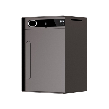 Smart Package Delivery Box Baby Custo - Gray - Brown