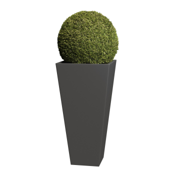 Medium Anthracite Plant Pot Vase