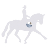 Doorbell Dressage Horse White