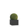 Ferrara Medium Planter in Anthracite