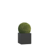 Alife Maxi Planter in Anthracite