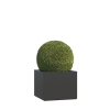 Volterra Maxi Planter in Anthracite