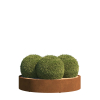 Terni Mini Planter